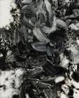 《氤氲图No.20》