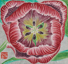 《一朵就能代表全部A flower representsall》